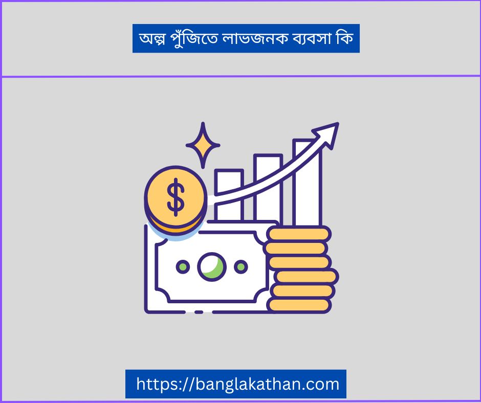 অল্প পুঁজিতে লাভজনক ব্যবসা কি