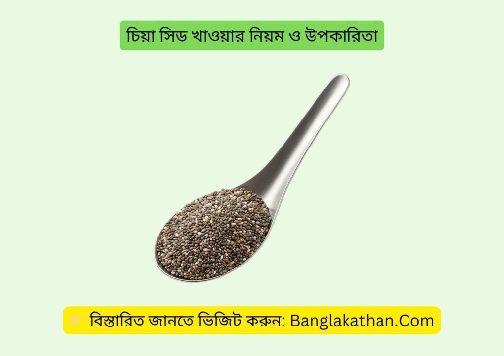 চিয়া সিড খাওয়ার নিয়ম ও উপকারিতা